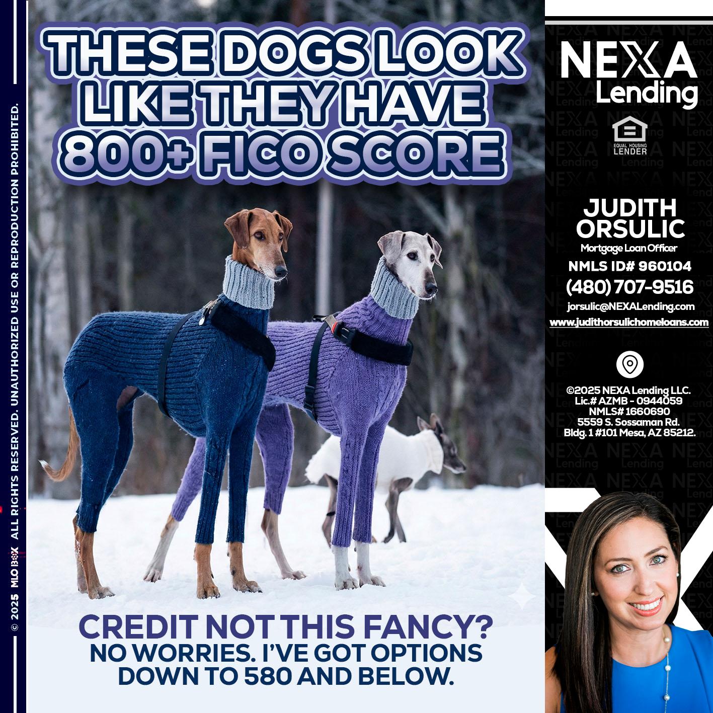 THESE DOGS LOOK - Judith Orsulic -Mortgage Loan Officer
